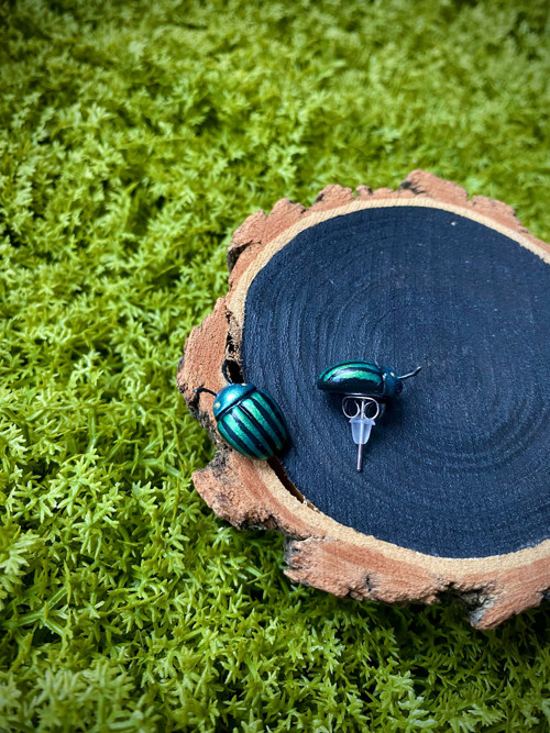 Beetles — foto 3