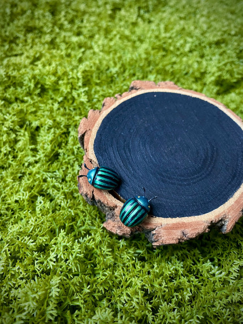 Beetles — foto 2