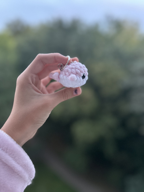 Klíčenka velrybky — foto 5