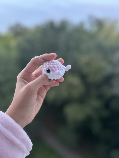 Klíčenka velrybky — foto 3