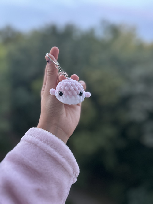 Klíčenka velrybky — foto 4