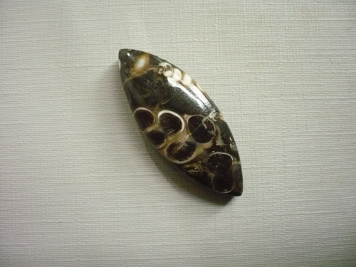 Kabošon - turitella 36 mm, č.52 — foto 2