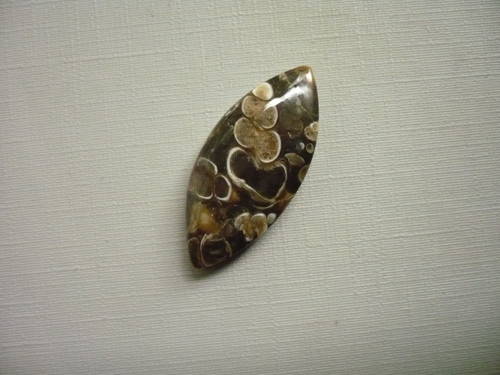 Kabošon - turitella 33 mm, č.57 — foto 2