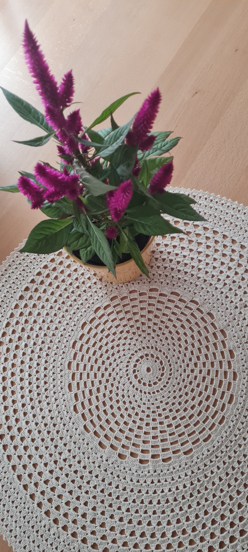Dečka kulatá — foto 2