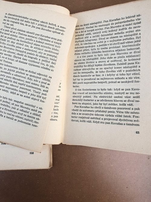 Muž se psem — foto 3