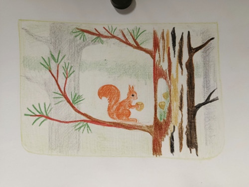 Veverka s oříškem - na přání — foto 2