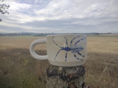 Malý kafe Tesařík — foto 2