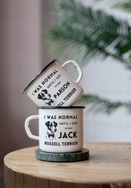 I was normal until... (Jack) - Plecháček — foto 3