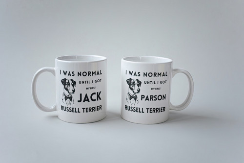 I was normal until... (Parson) - Hrníček — foto 4
