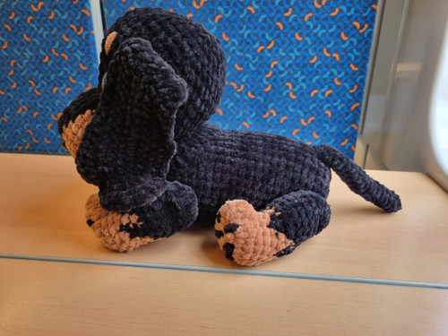 Háčkovaný jezevčík — foto 3