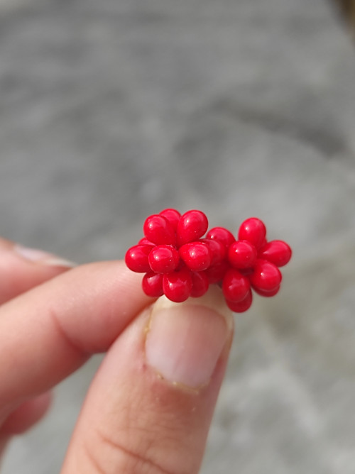 Bublinky Koral — foto 3