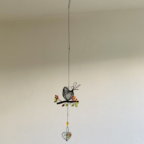 Ptakoš drátovaný — foto 2