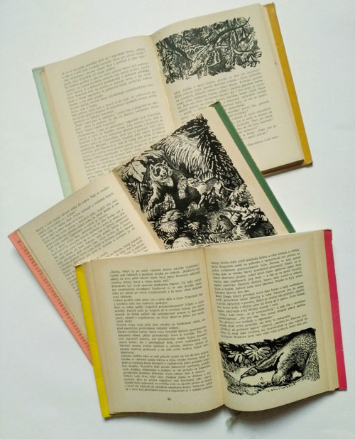 Lovci orchidejí - František Flos — foto 5