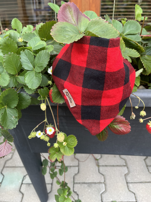 Šátek pro psy - Cozy Warm - velikost L — foto 2