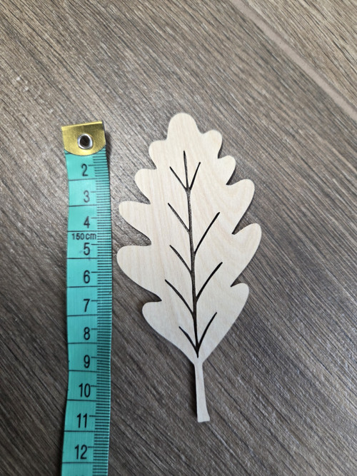 Dubové listy (11 x 5 cm) — foto 3