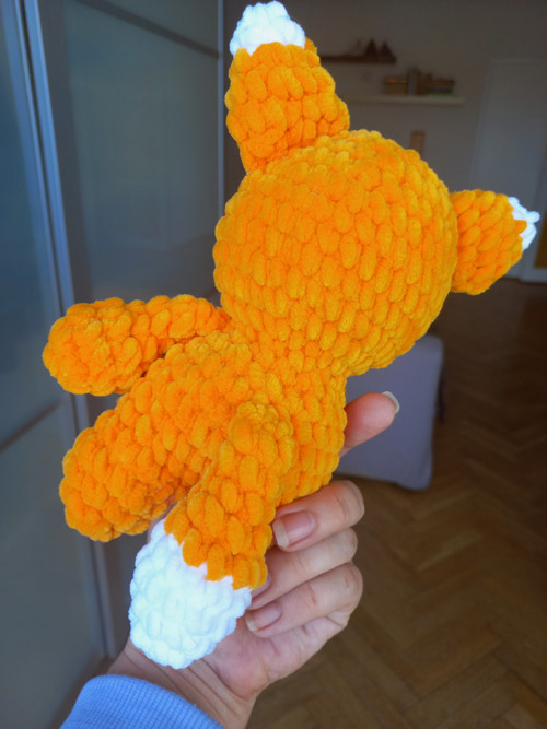 Háčkovaná liška — foto 3