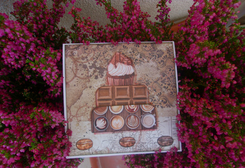 Dort s muffinem — foto 2