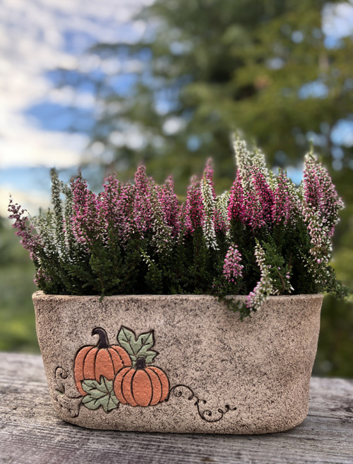 Truhlík - Dýně — foto 5