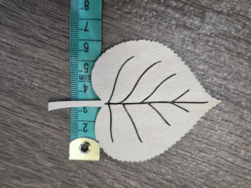 Lipové listy (8,5 x 6 cm) — foto 3
