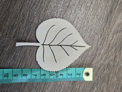 Lipové listy (8,5 x 6 cm) — foto 4