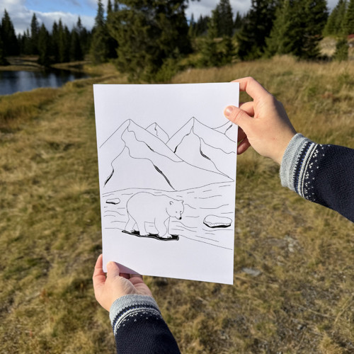 Příroda Severu - Kolekce ilustrací — foto 4