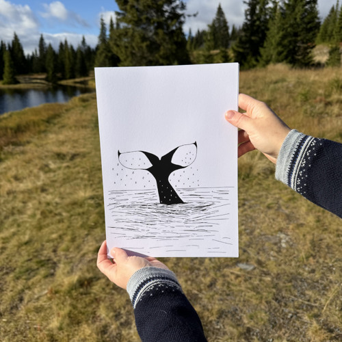 Příroda Severu - Kolekce ilustrací — foto 5