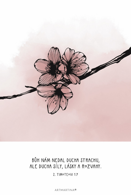 Slovo Boží na očích — foto 5