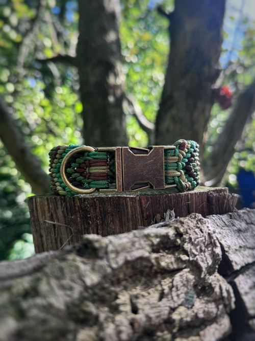 Obojek Arrow — foto 2