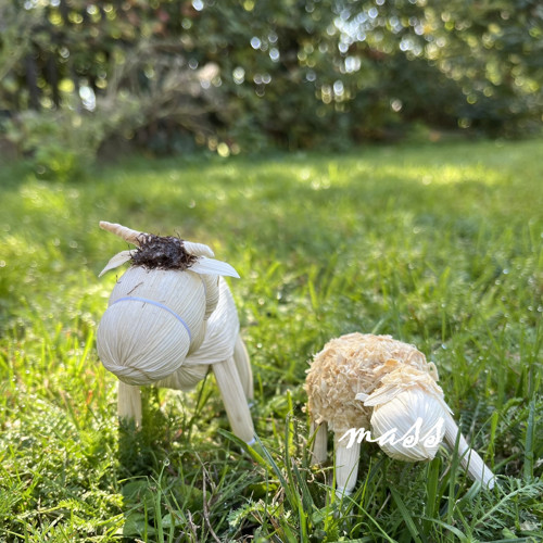 Zvířátka — foto 2