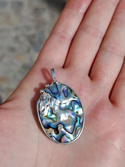 Abalone paua mušle — foto 5