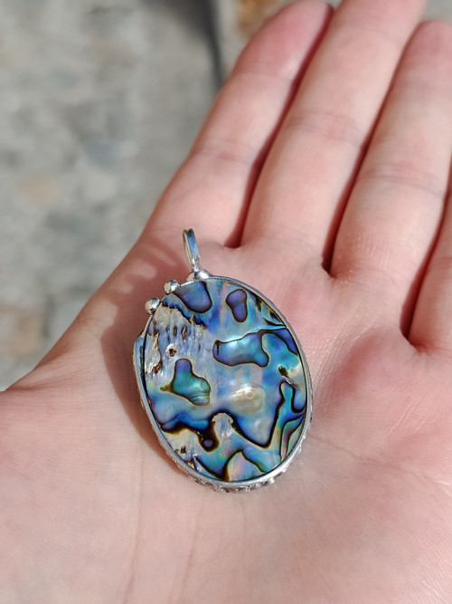 Abalone paua mušle — foto 6