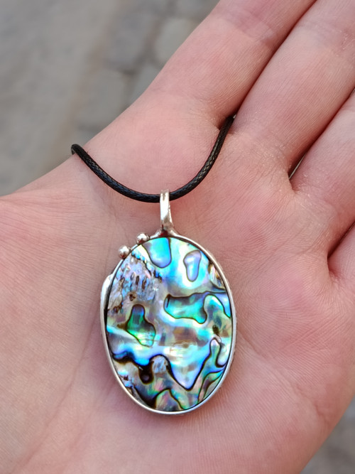 Abalone paua mušle — foto 3