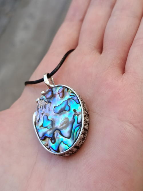 Abalone paua mušle — foto 4