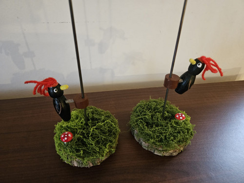 Hopsající datel — foto 6