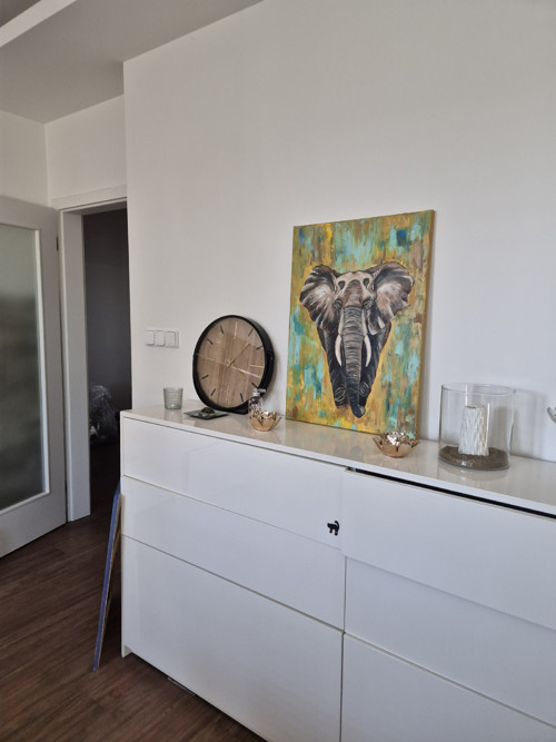 Africký slon — foto 4