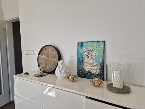 Kocour — foto 5