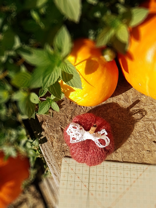 Podzimní dýně No. 3 — foto 2
