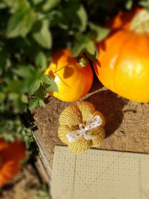 Podzimní dýně No. 4 — foto 2