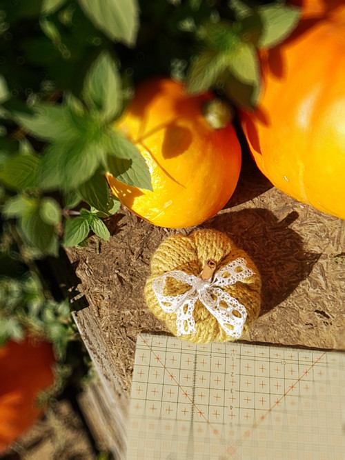 Podzimní dýně No. 5 — foto 2