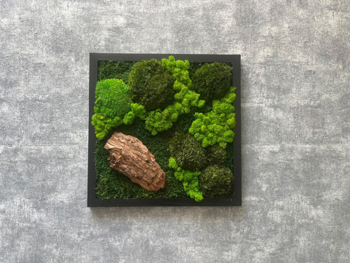 Mechový obraz 35x35cm — foto 2