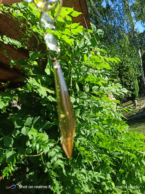 Lapač slunce - spirála - žlutá — foto 3