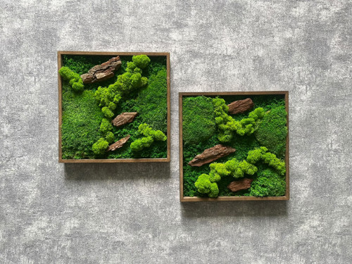 Mechový obraz - sada 25x25cm — foto 2