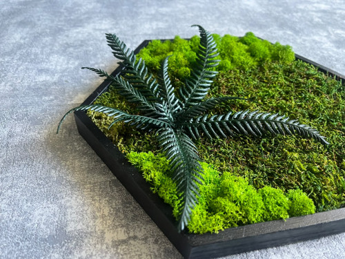 Mechový obraz - hexagon 26x26cm — foto 4