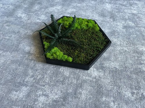 Mechový obraz - hexagon 26x26cm — foto 3