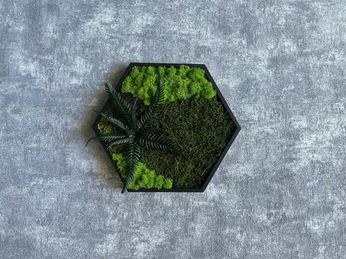 Mechový obraz - hexagon 26x26cm — foto 2