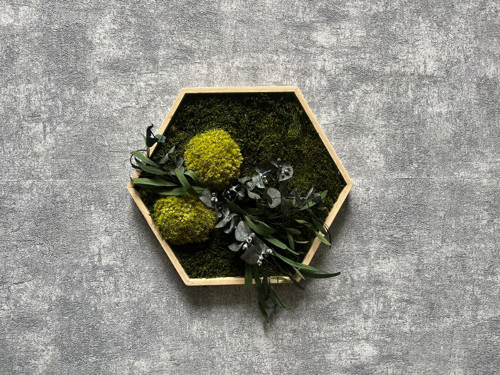 Mechový obraz - hexagon 26x26cm — foto 2
