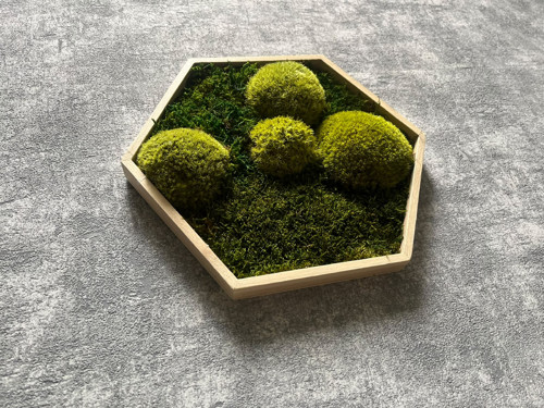 Mechový obraz - hexagon 26x26cm — foto 3