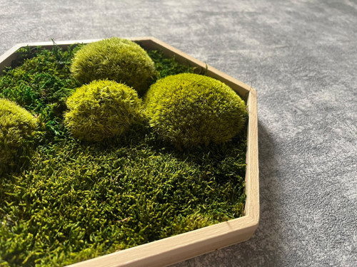 Mechový obraz - hexagon 26x26cm — foto 5