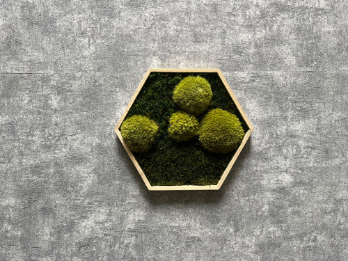 Mechový obraz - hexagon 26x26cm — foto 2