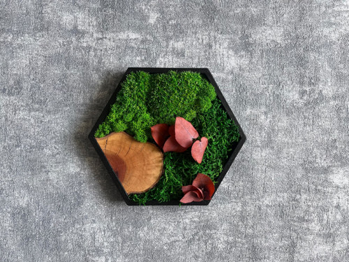 Mechový obraz - hexagon 21x21cm — foto 2